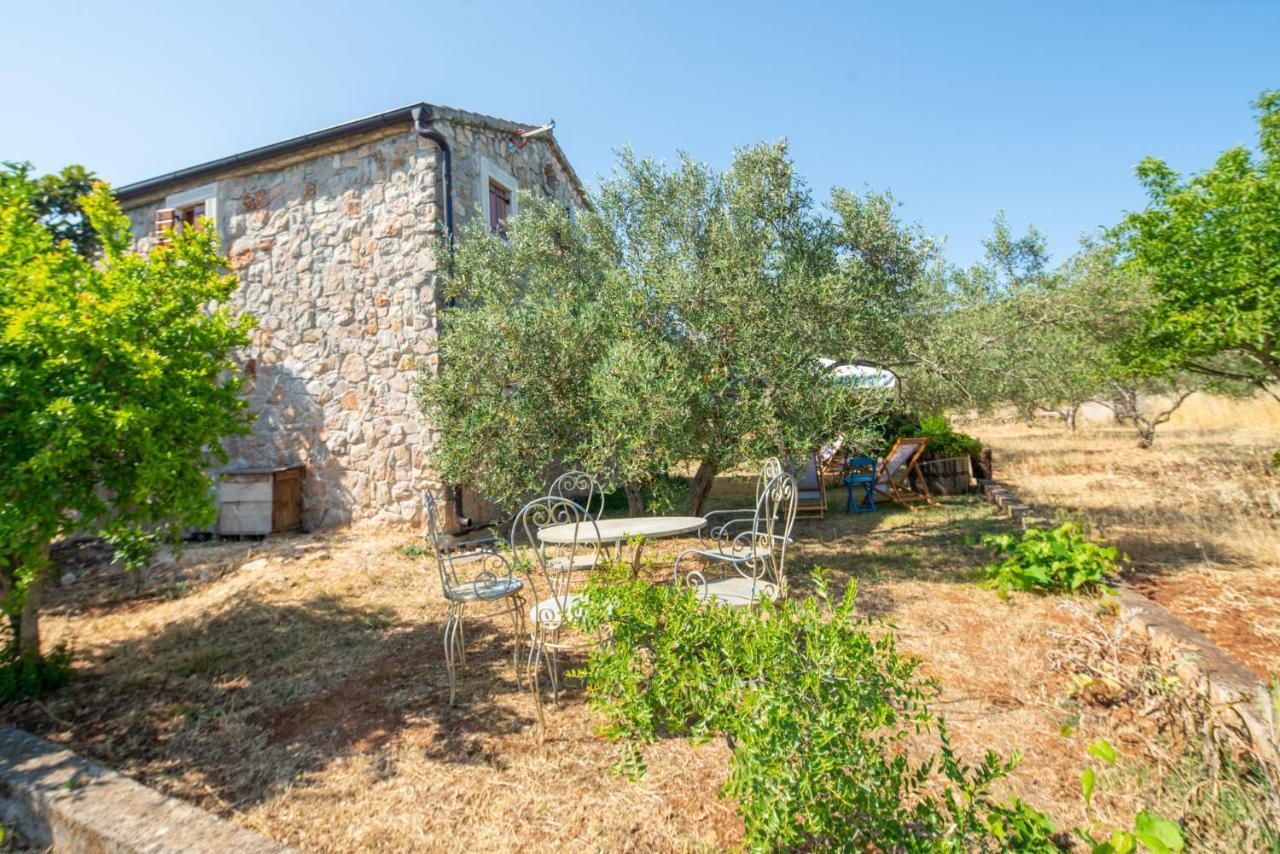Villa Flaveico Pasman Bagian luar foto