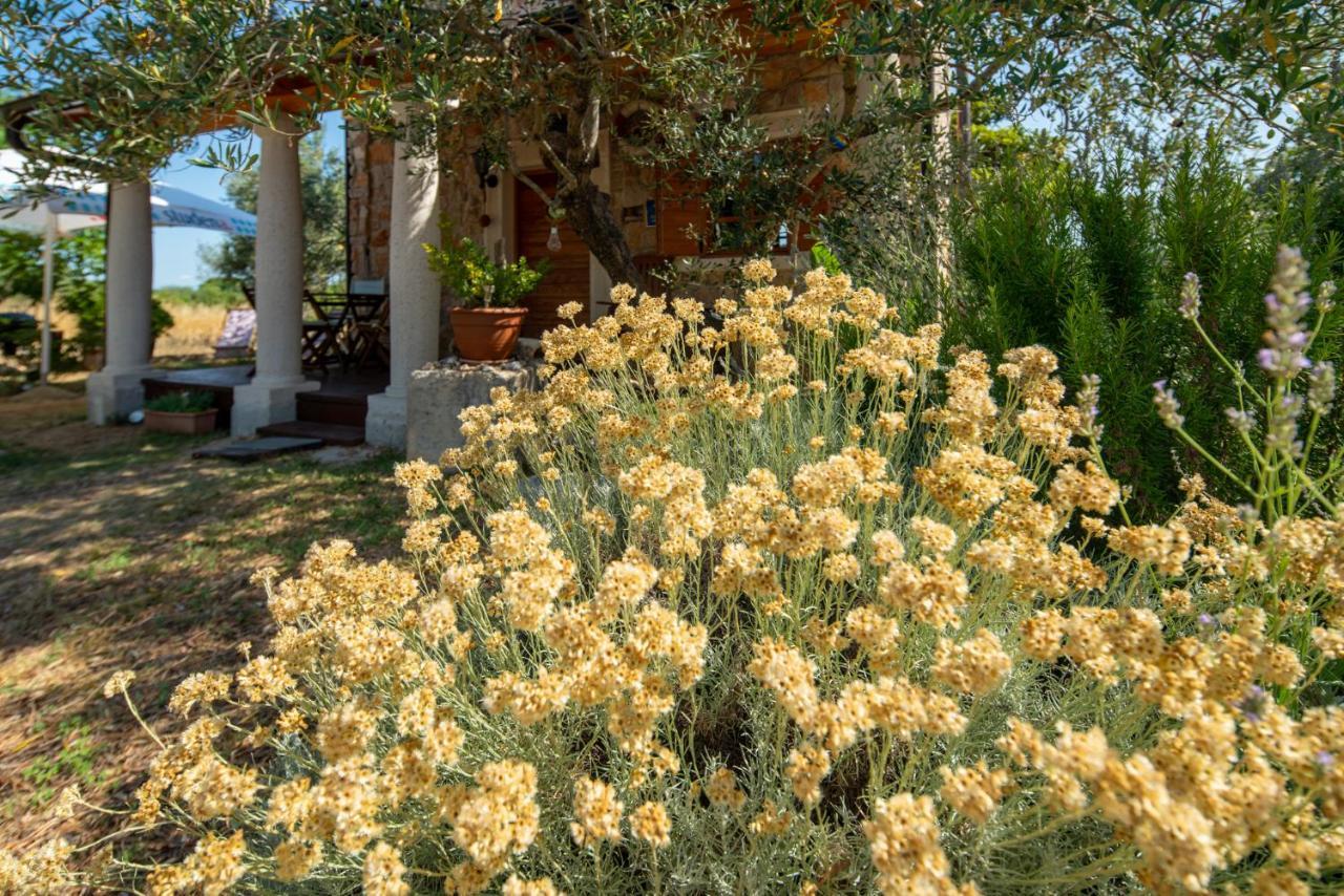 Villa Flaveico Pasman Bagian luar foto